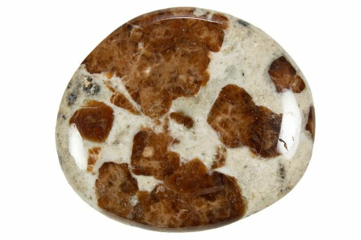 Polished Garnet In Wollastonite Stone - Namibia #343971